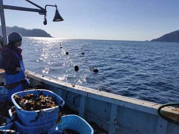 リーフレットに掲載された、牡蠣の養殖現場の海と作業船